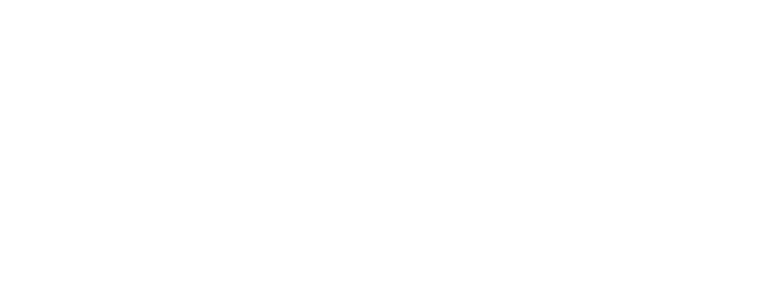 Maestría en Gestión Pública Virtual