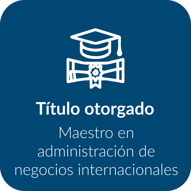 maestría en administración internacional virtual